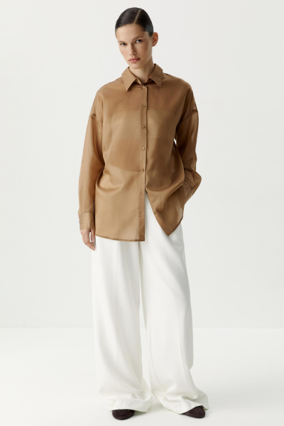 Блуза из полупрозрачной ткани (темно-бежевый) (XS/S) 