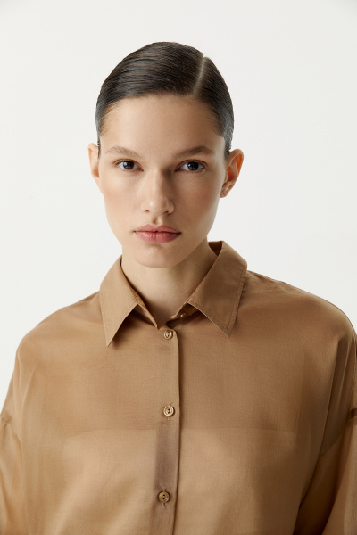 Блуза из полупрозрачной ткани (темно-бежевый) (XS/S) 