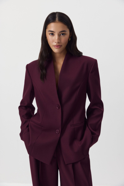 Пиджак без лацканов (сливовый) (M) 