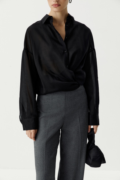 Блуза из полупрозрачной ткани (черный) (XS/S) 