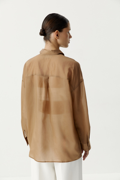 Блуза из полупрозрачной ткани (темно-бежевый) (XS/S) 